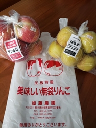 加藤農園さんで...
