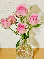 ショーケースで...