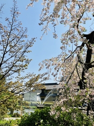 隣にある【神明...