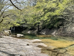 急に暑くなりま...