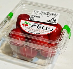 FKD宇都宮店...