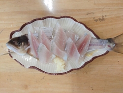 レジ前には、注...
