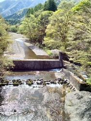 頑丈な吊橋です...