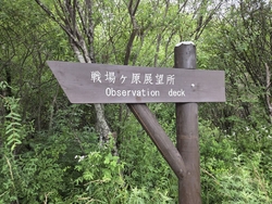 真夏の戦場ヶ原...