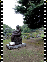 梅雨の季節に散...