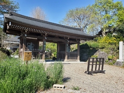 久しぶりに来店...