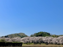 11時頃に到着...