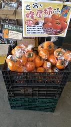 鮮やかなオレン...