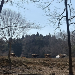 宿のご主人のオ...