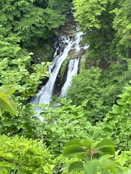 この日は、日光...