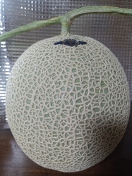 野菜を買いに訪...