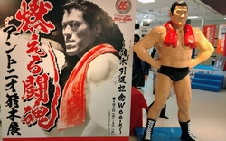 平日午後訪問。...