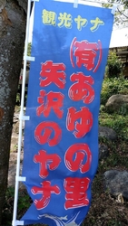 夏の風物詩^_...