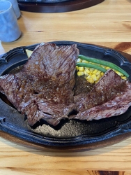 ランチで初訪問...