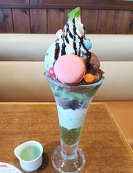 「チョコミン党...