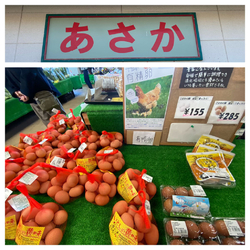 461号線の野...