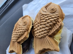 2回目です。た...