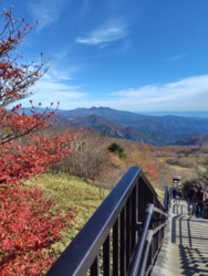 キスゲ平から天...