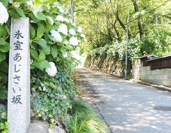 2週間前の偵察...