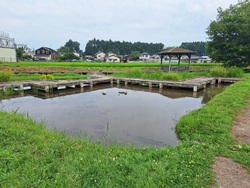 ザリガニ釣りが...