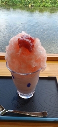 以前から気にな...