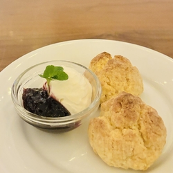 グルㇺの森のイ...