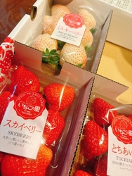 今年もいちごの...
