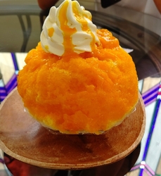 今年も行ってき...
