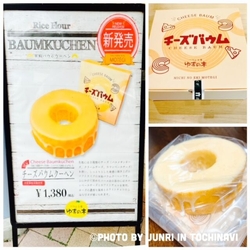 新発売の【チー...