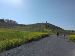 小山市に住んで...