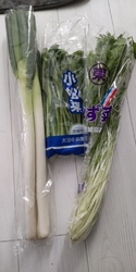 新鮮な野菜がた...