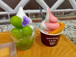 はちやカフェの...