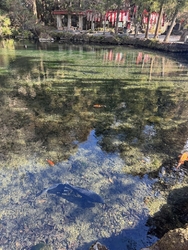 日本名水百選の...