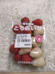 白いイチゴがあ...