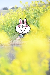 昨年の投稿です...