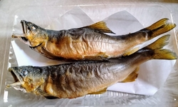 平日午後訪問。...