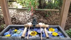 鳥居をくぐると...