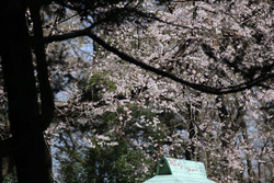 小山市にある城...