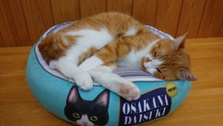お店の近くを通...