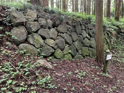 県のハイキング...