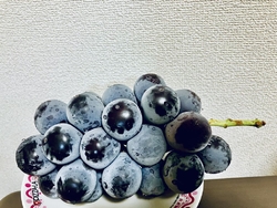 とち助商品券を...