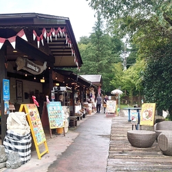 那須に来て、久...