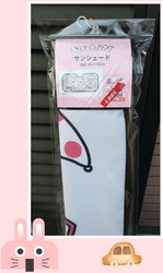 春物を見に行っ...