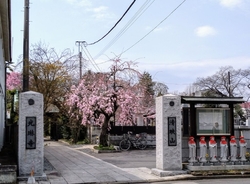 平日お昼頃に参...