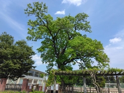 ハマっている≪...
