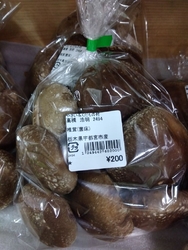 店内はた〜っく...