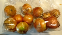 中央卸売市場で...