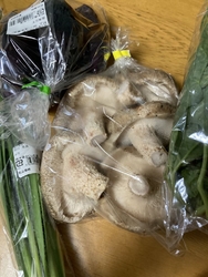 今日も、午前中...