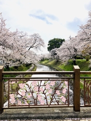 何年か前に気に...