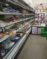 １年中栃木のソ...